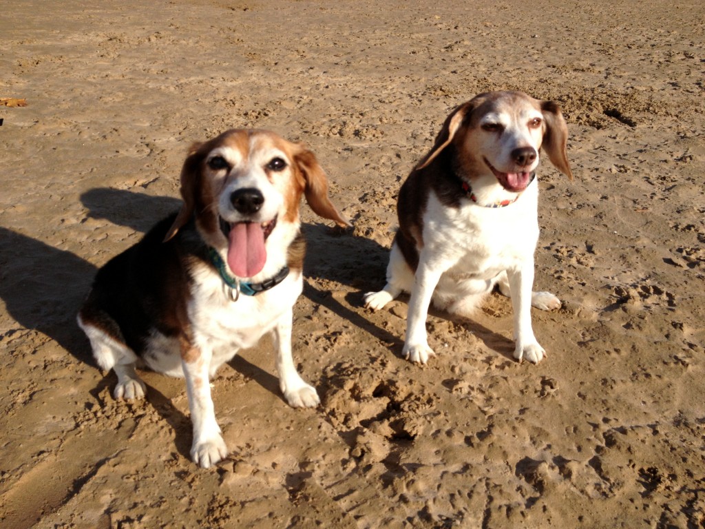 Seven and Caylie at the Beach